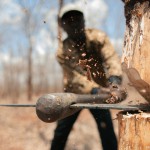 Магомедгаджи Залбеков : «Администрация города не выдавала и не выдает никаких документов на строительство в Эльтавском лесу» Новости