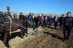 add0dff77ce18a4e016482855f023669