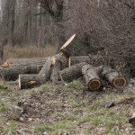 Город потерь 18 марта 11 (524) 2016