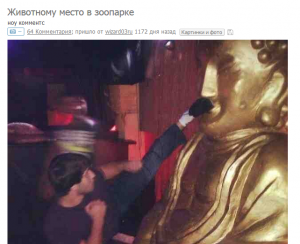 5022ede8 - копия