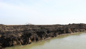 5706754b65491ced08f1e2824116569c