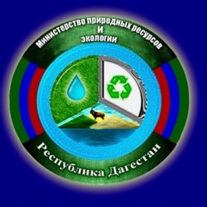 fe84d19a2481a2744303992166d46eed_400x400