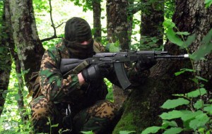 86f9f80d38920821a3a4e100a9711dbb