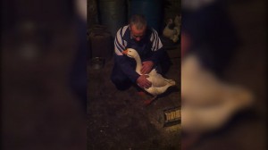 e851dc336dc88ddc784d617bbfcc6d67__980x