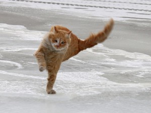 huge_3549d4e7-0598-4c10-ad4a-38f44345c641