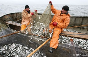 899792 13.04.2011 Ðûáàêè êîëõîçà "Äîáðîâîëüñêèé" ëîâÿò ñàëàêó â Êàëèíèíãðàäñêîì çàëèâå. Èãîðü Çàðåìáî/ÐÈÀ Íîâîñòè