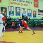 Мастер-класс от самбистов 17 Июня 24(537) 2016