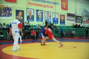 Фото_на новость_спорт