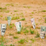 Мошенник из Ахвахского района Криминал