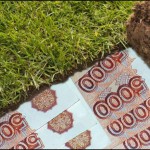 Мошенничество с землей 29 Июля 30(543) 2016