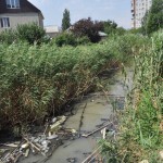 Опасная река 29 Июля 30(543) 2016