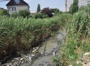 Фото_Опасная река