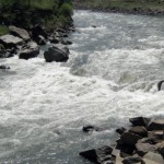 Кикунинский консервный завод сбрасывает отходы в Аварское Койсу Новости