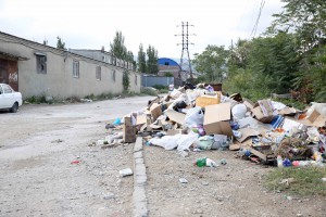 Фото_к тексту Теймура