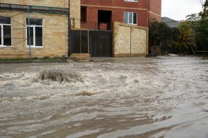 Фото_к тексту Теймура_новый размер