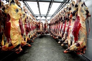 скотобойня