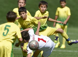 901db6162ce7ada4f9c0259a304c7e1d