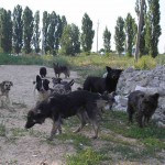 24 февраля 8(573) 2017