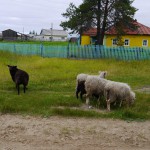 24 февраля 8(573) 2017