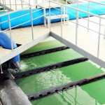 Шаг к чистой воде 3 марта 9(574) 2017