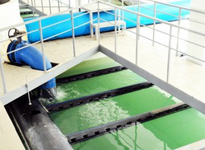 Фото_Шаг к воде