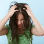 В «Артек» завезли «живность» из Дагестана Новости