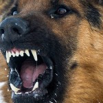 7 апреля 14(579) 2017