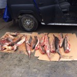 14 апреля 15(580) 2017