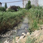 В защиту экологии 29 сентября 39(604) 2017