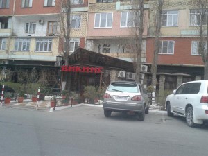 Фото_стрельба у Викинга