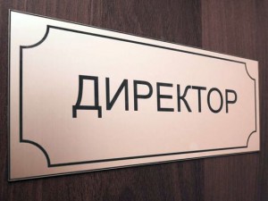 директор