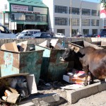 8 июня 23(640) 2018