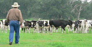 Фото_к тексту