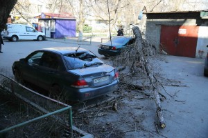 5O6A2749_новый размер