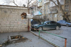 5O6A2754_новый размер