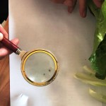 Россельхознадзор защитил Дагестан от вредителей Новости