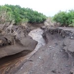 В Дагестане подсчитывают ущерб от ливней Новости