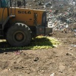 Раздавили яблоки Новости