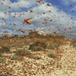 30 млн на саранчу Новости