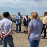 Саранча не навредила Новости