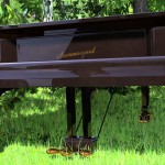 Еще один рояль в кустах 07 июня 23(693) 2019