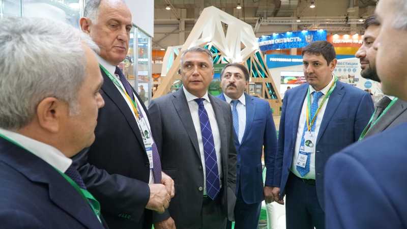 3fdd702069d5df912c53fe8979eac80b