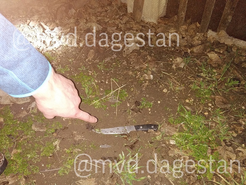 {"effects_tried":0,"photos_added":0,"origin":"gallery","total_effects_actions":0,"remix_data":[],"tools_used":{"tilt_shift":0,"resize":0,"adjust":0,"curves":0,"motion":0,"perspective":0,"clone":0,"crop":0,"flip_rotate":0,"selection":0,"enhance":0,"free_crop":0,"shape_crop":0,"stretch":0},"total_draw_actions":0,"total_editor_actions":{"border":0,"frame":0,"mask":0,"text":0,"lensflare":0,"clipart":0,"square_fit":0,"shape_mask":0,"callout":0},"source_sid":"E2FC2C52-C779-43F6-BE7F-851CA3E47EBC_1579616483926","total_editor_time":0,"total_draw_time":0,"effects_applied":0,"uid":"E2FC2C52-C779-43F6-BE7F-851CA3E47EBC_1579616483922","total_effects_time":0,"brushes_used":0,"height":3000,"layers_used":0,"width":4000,"subsource":"done_button"}