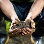 Украли землю Криминал