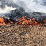 Всё сгорело! Новости