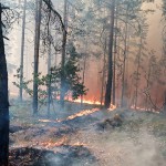 Ситуация с пожарами Новости