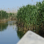 Реабилитация Аграхана 03 июля 27(748) 2020