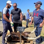 Вчера в Буйнакском районе Дагестана прошла праздничная ярмарка Новости
