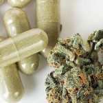 Конопля и «трамадол» Криминал