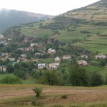 Белое безмолвие 14 августа 33(754) 2020